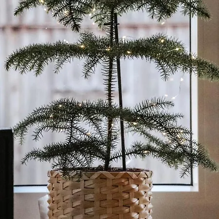 Flygge Lägenhet *