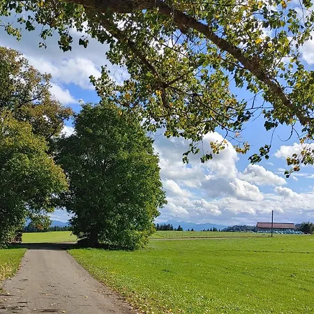 Lägenhet Flygge